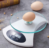 Digital Kitchen Scale